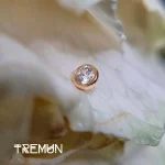 Tremun feed 31_31_11zon