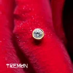 Tremun feed 38_38_11zon