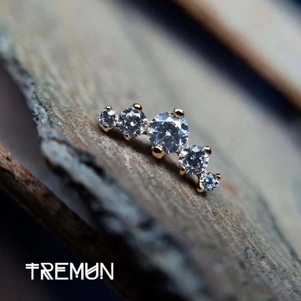 Tremun feed 47_47_11zon