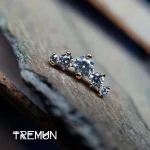 Tremun feed 47_47_11zon