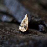 Aqua historia 81 (1)