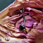 tremun web 203#_11zon