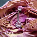 tremun web 203_3_11zon