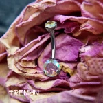 tremun web 205_5_11zon