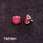 Tremun feed 1696_11zon