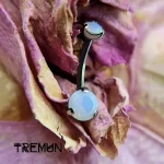 tremun web 3104_11zon