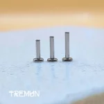 Titanium Labret