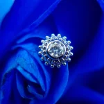 Tremun voer 163_11zon