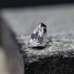 feed tremun_0064_feed logo shangri-shanga_0010_IMG_2803_6_11zon