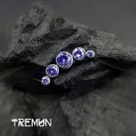 tremun web 3067_11zon