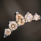 Michelle – SW Fancy Champagne - TRM11100_1