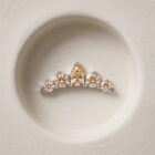 Michelle – SW Fancy Champagne - TRM11100_2