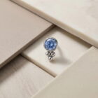 Venus Petite SW Arctic Blue - TRM11133_2